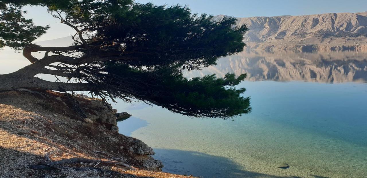 Kuca Pecine Bed and Breakfast Metajna Εξωτερικό φωτογραφία